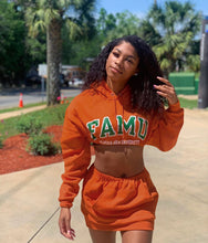 Load image into Gallery viewer, Trendy hip skirt and hooded sweater two-piece suit(AY1378)