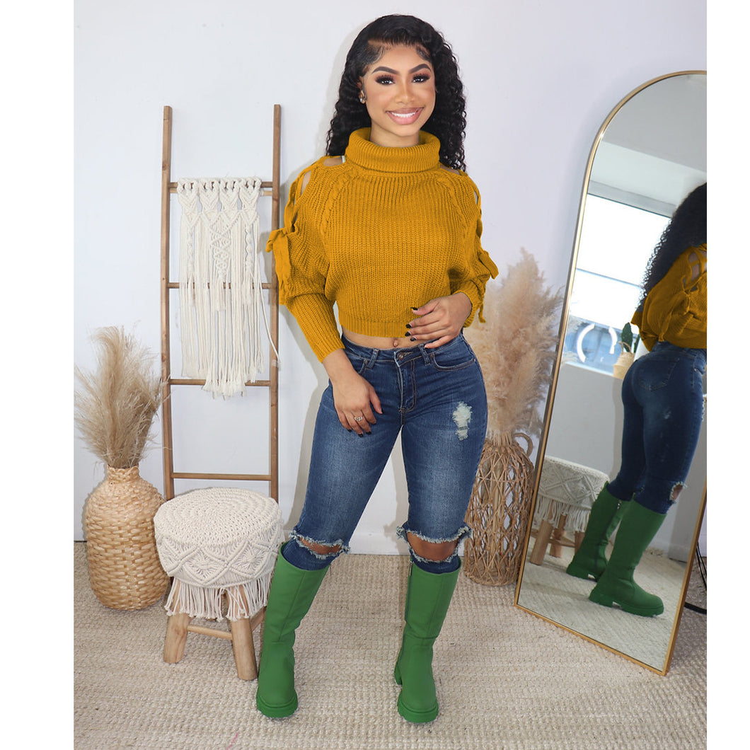 Pullover turtleneck sweater(AY2555)