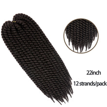 Load image into Gallery viewer, Hot-sale synthetic 22&quot; tube twisted dirty braid（AH5055）
