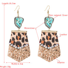 Load image into Gallery viewer, Fashion leopard-print diamond earrings（AE4056）
